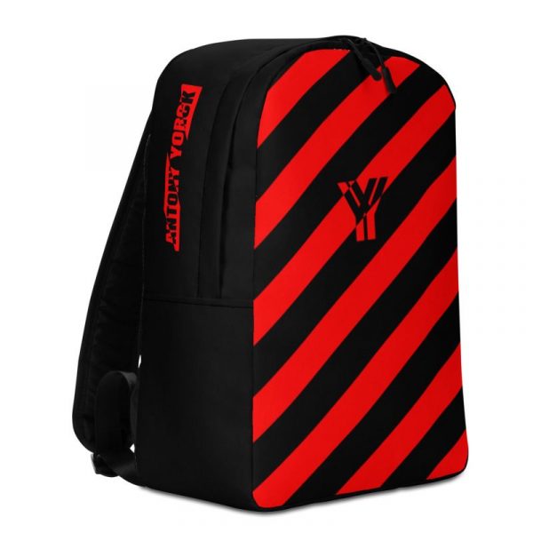 Laptoprucksack von Antony Yorck - ein Rucksack mit Laptopfach für ein 15 zoll Laptop und Geheimfach auf der Rückseite. Der Designer Rucksack ist schwarz rot schräg gestreift.