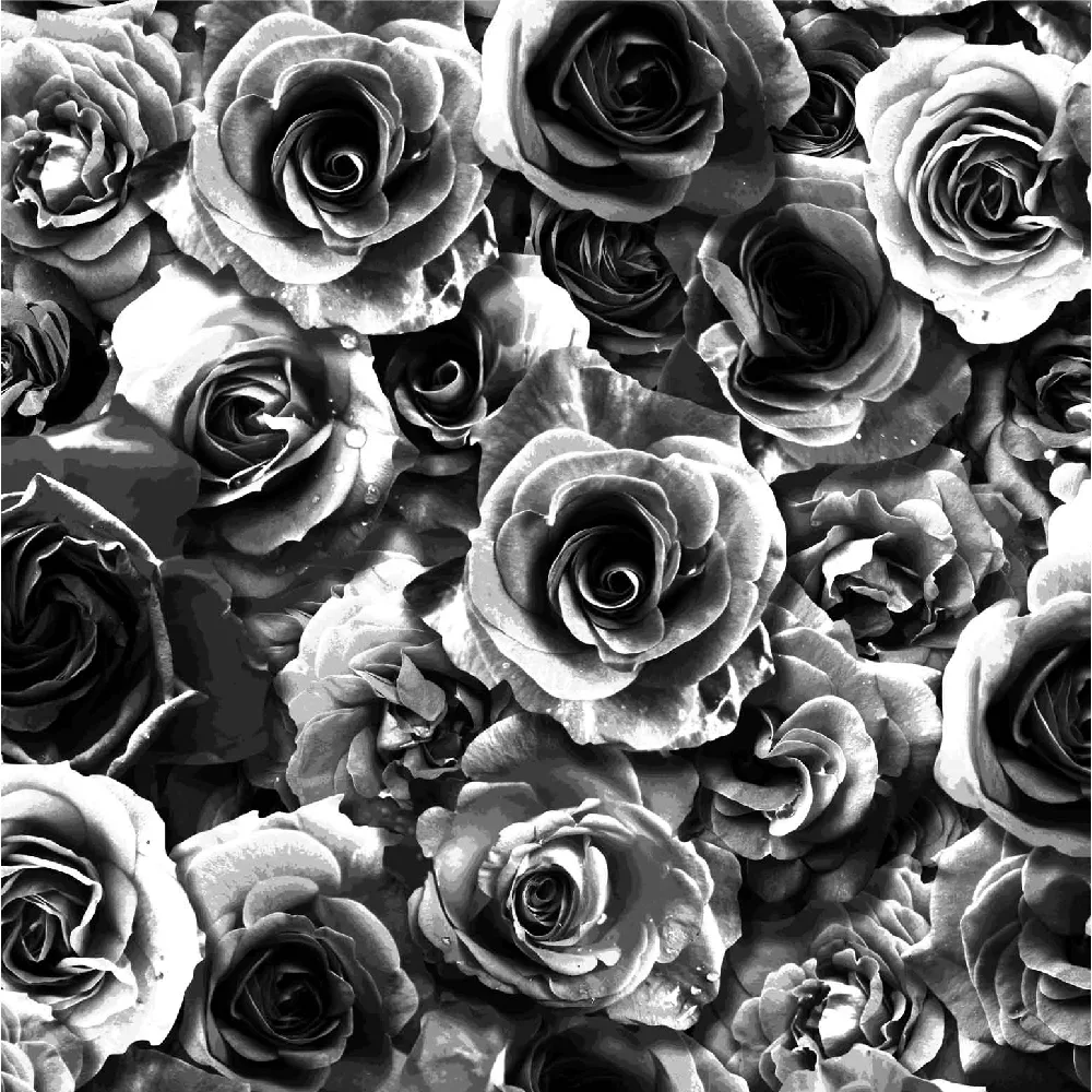 Exklusive Designer Art Wear mit progressiven Prints, Roses